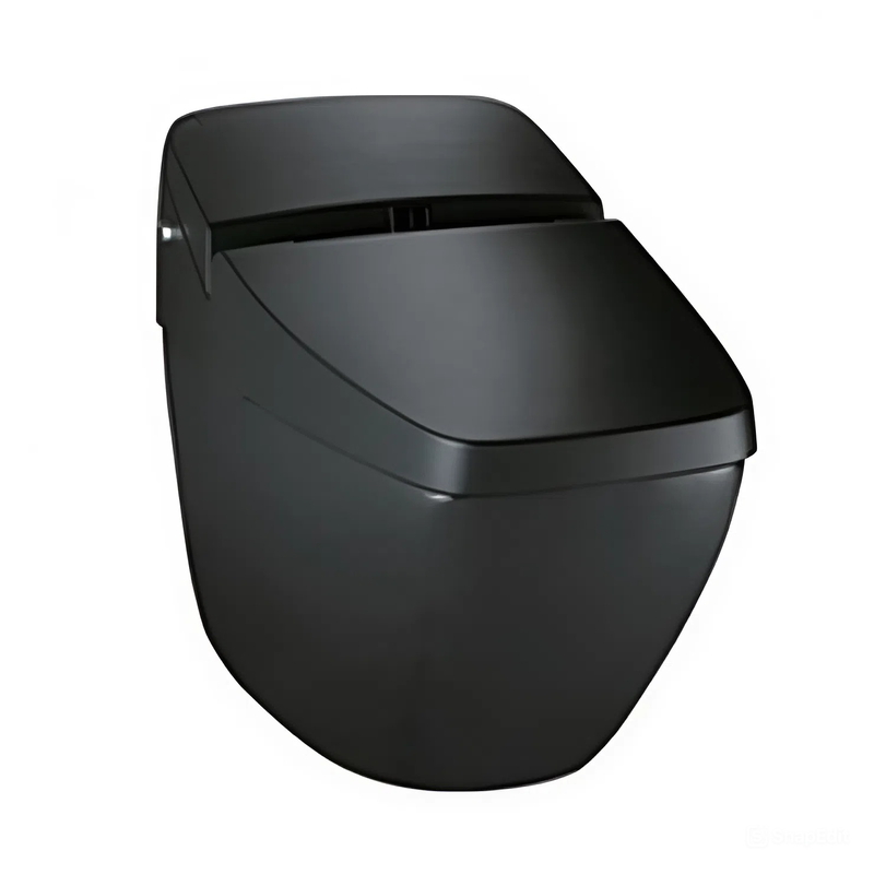 Bồn cầu thông minh Inax REGIO DV-R115VH-VN/BKG