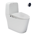 Bồn cầu 2 khối Inax ACT-832+CW-S15VN